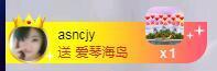 一只雁~的图片