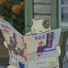 猫快报