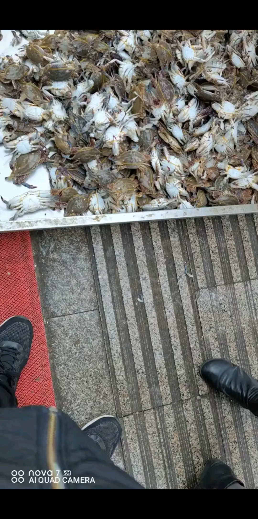 海鲜