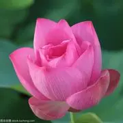 逛逛➹