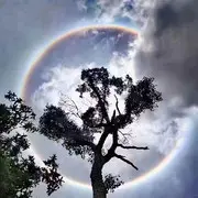 想视成