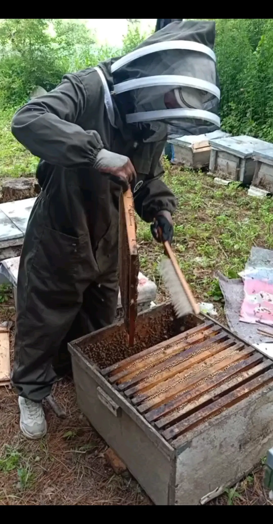 新蜜下来了有要的联系