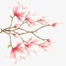 一顿饭打工的
