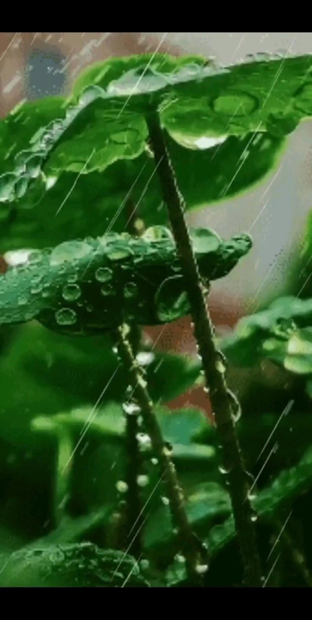 無愛即是神