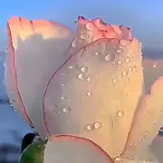 彬哥天下无双