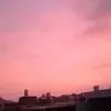 广东潮汕人。