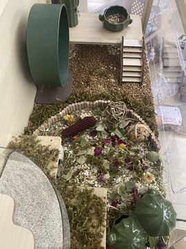 叫我靓仔呀的图片