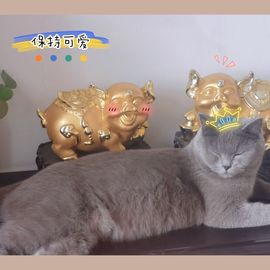 阳阳💕今晚7点见的图片