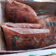 忠诚诚信（恒皇）
