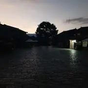 污鸭一点点