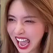 熊猫甘巴拉