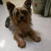 懒de动