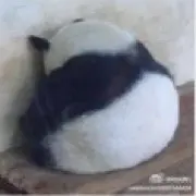 ”欢”喜”冤“家”