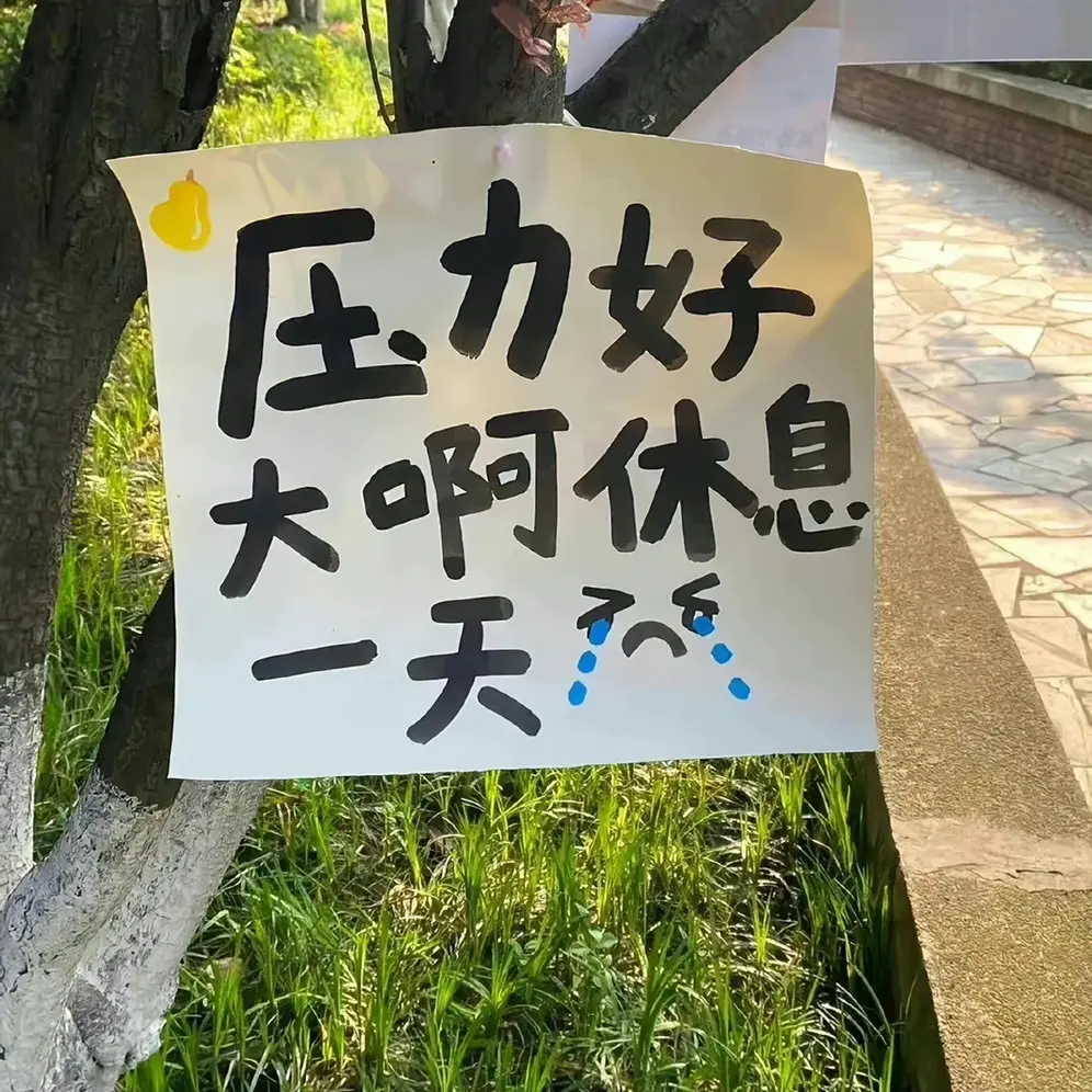 奶酪跌倒啦的主播照片