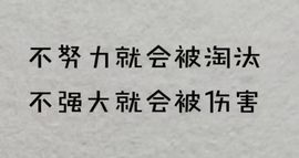 xy吴小优的图片