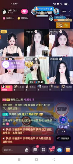 优雅菲🥑旺旺旺的图片
