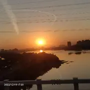 养鱼的蟋蟀