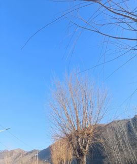 💞阳阳得意💞的图片