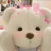 等风也等你354
