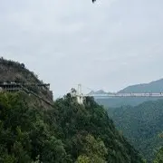 @金哥@