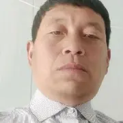 来自华盛顿特区的熊
