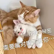 哩哩哩🧜‍♂️的用户头像