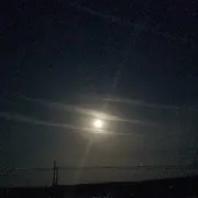 辽源第一狠银黄老邪