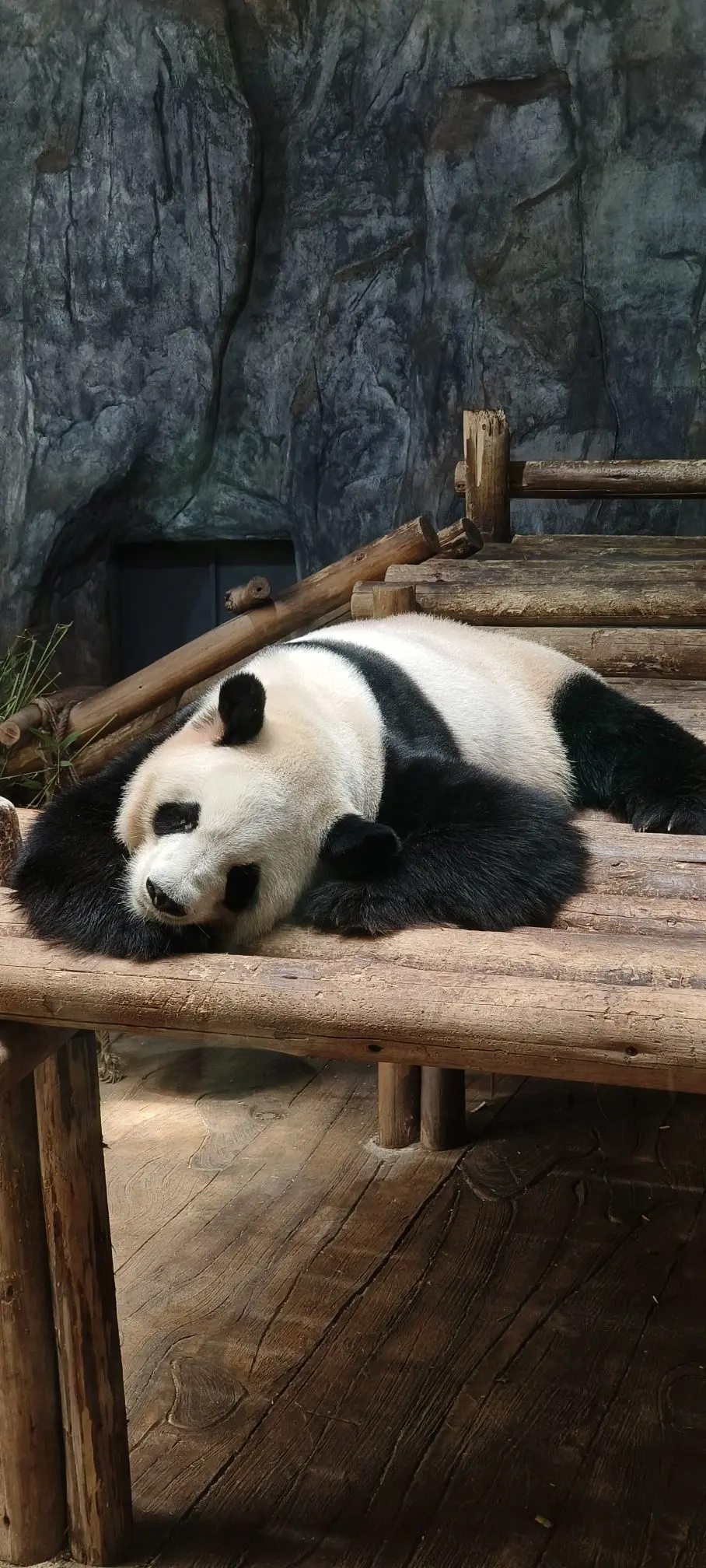 隨風的沙主播图片
