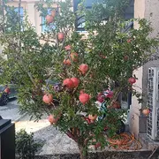 阔子封号（永久）