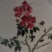 红o‘.‘o狼