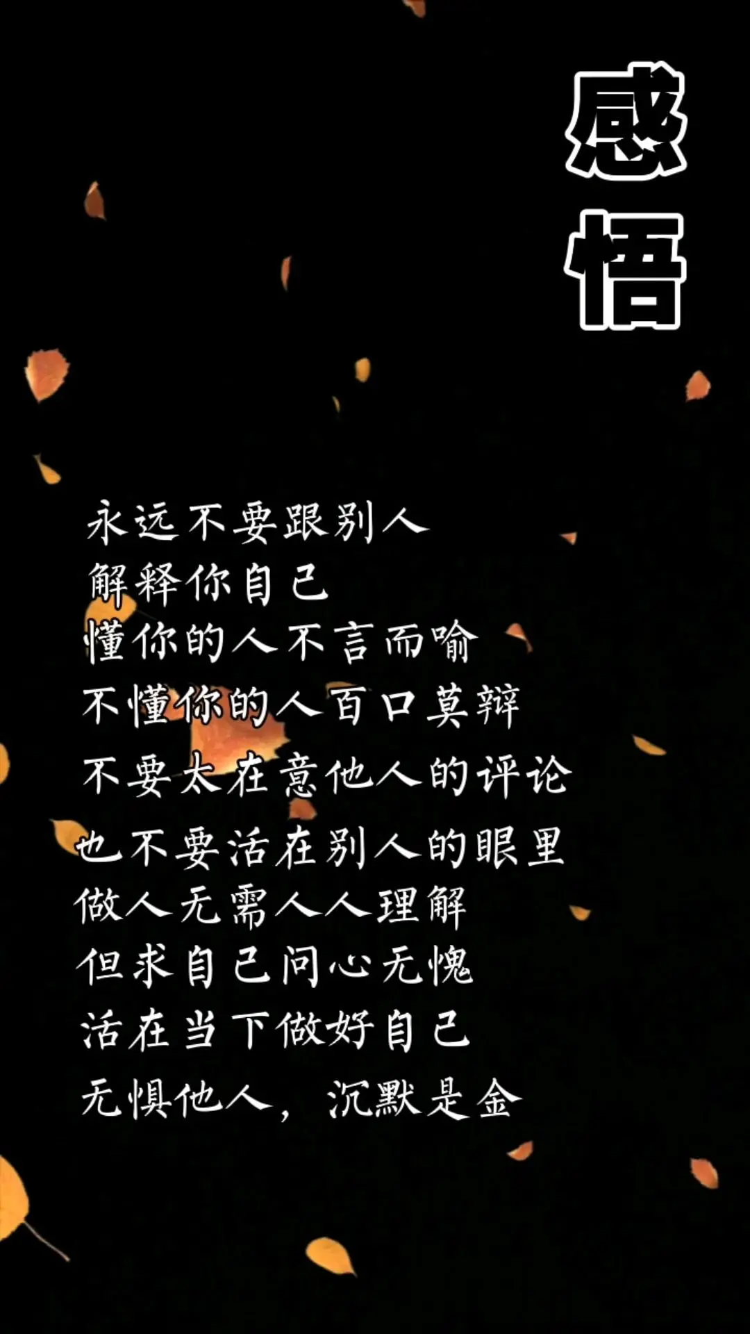 涛歌好声音的主播照片