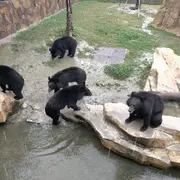 菇娘划船凭浪