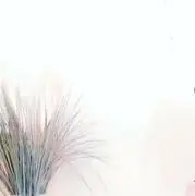 醉舞.