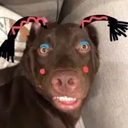 永不见.
