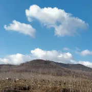 牧云@