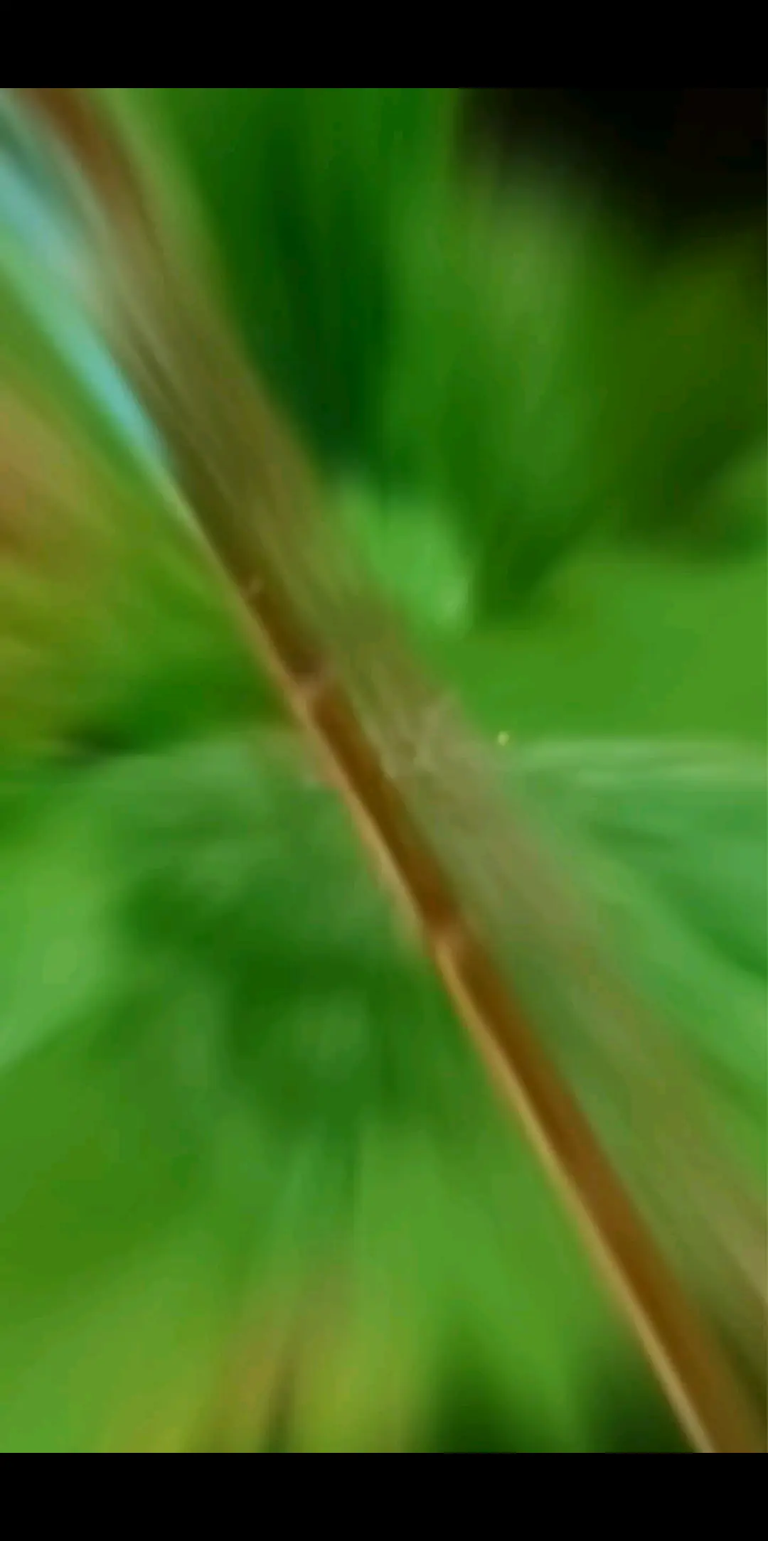爱生活