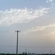 旧梦一场清88