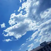 010.相思的雨