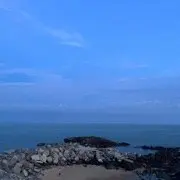 旧颜难忘
