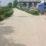 刘海莹