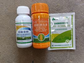 嘉宜.的图片