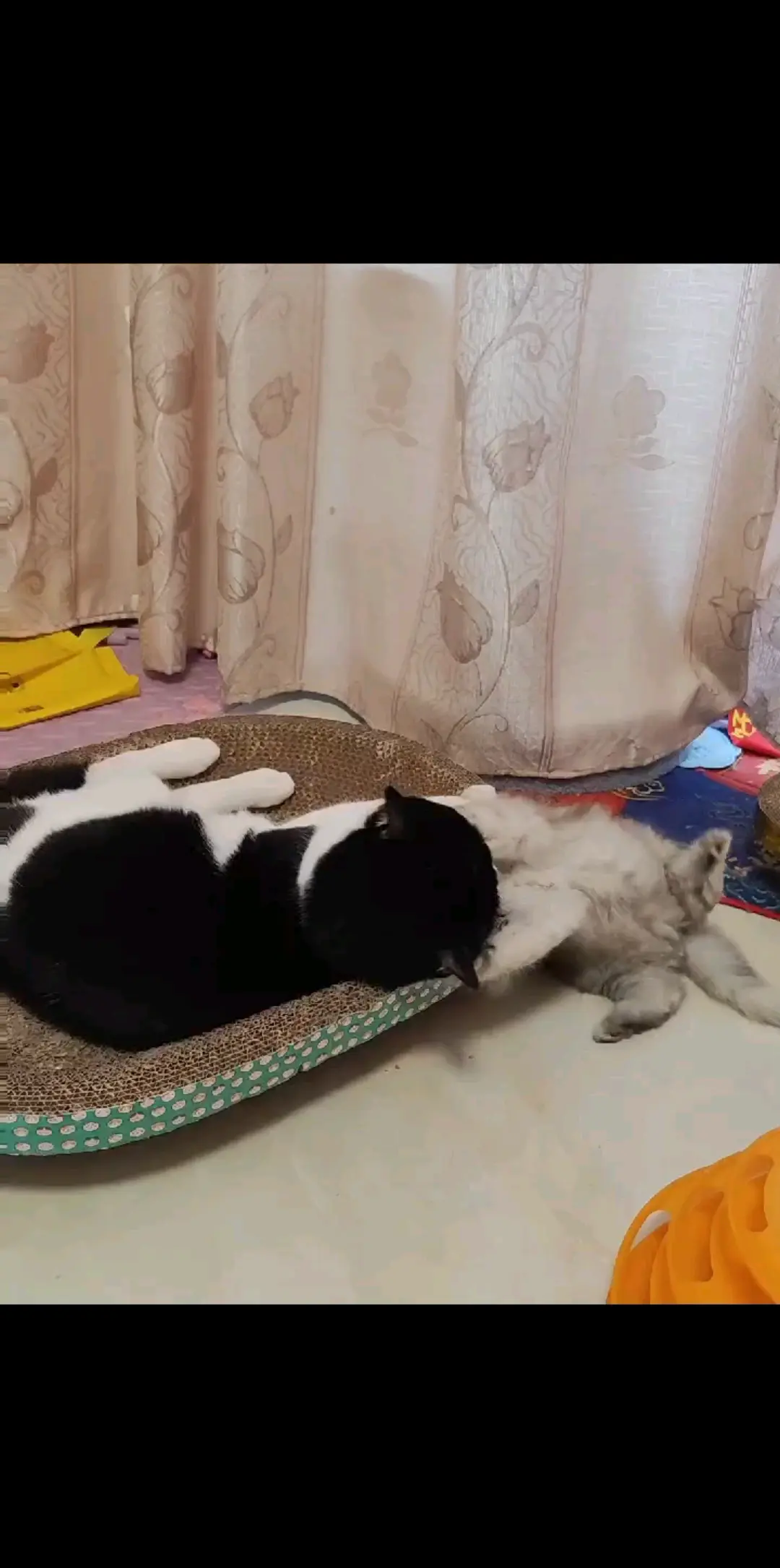 来晚了/狂笑