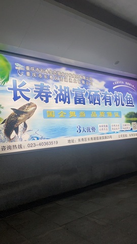 鱼汐👄再见六的图片