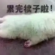 冷棚：