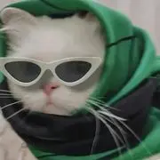 潇洒的西蓝花