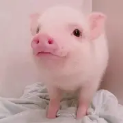 态度决定一切；