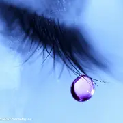 明媚伤痕