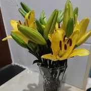 ☞静静3☜