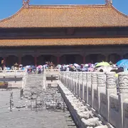 主播哈斯本
