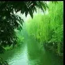 开开心心qun